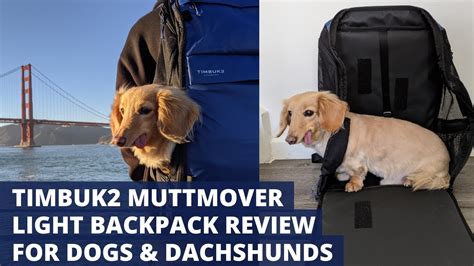 tumbuk2 muttmover review